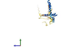 Protein Structure (PS) image for Hairy and Enhancer of Split 7 (HES7) (AA 1-225) protein (His tag) (ABIN7558727)