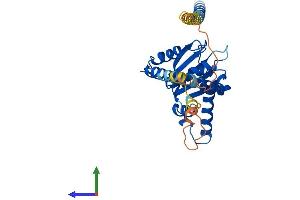 Protein Structure (PS) image for Nogo B Receptor (NUS1) (AA 1-293) protein (His tag) (ABIN7554752)