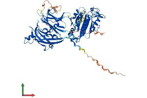 Protein Structure (PS) image for Copine V (CPNE5) (AA 1-593) protein (His tag) (ABIN7546741)