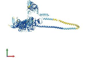 Protein Structure (PS) image for Myosin IB (MYO1B) (AA 1-1107) protein (His tag) (ABIN7563280)