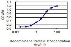 Detection limit for recombinant GST tagged FAM174A is 0. (FAM174A 抗体  (AA 1-190))