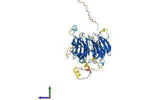 AlphaFold protein structure predicition of Mouse Recombinant Dcaf12l2 Protein, UniprotID Q8BGW4