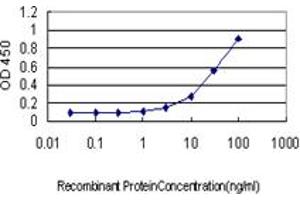 Detection limit for recombinant GST tagged RAD17 is approximately 1ng/ml as a capture antibody. (RAD17 抗体  (AA 1-110))