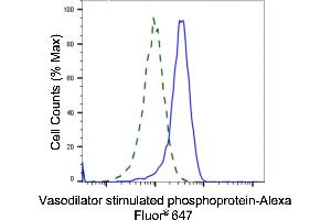 Validation of Vasodilator stimulated phosphoprotein knockdown using flow cytometry.
