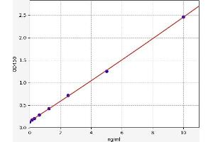 ELISA image for Cytochrome P450, Family 1, Subfamily A, Polypeptide 2 (CYP1A2) ELISA Kit (ABIN6966225)