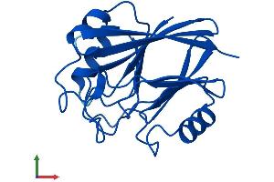 Protein Structure (PS) image for Vacuolar Protein Sorting 29 (VPS29) (AA 1-182) protein (His tag) (ABIN7555987)