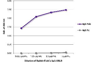 ELISA plate was coated with serially diluted Rabbit F(ab’)2 IgG-UNLB and quantified. (兔 IgG isotype control (PE))