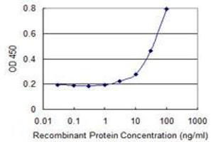 Detection limit for recombinant GST tagged PRDM4 is 1 ng/ml as a capture antibody. (PRDM4 抗体  (AA 476-575))