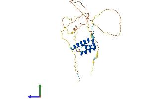 Protein Structure (PS) image for VENT Homeobox (VENTX) (AA 1-258) protein (His tag) (ABIN7545028)