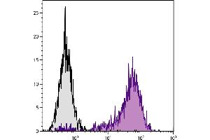 C57BL/6 mouse cytotoxic T lymphocyte cell line CTLL-2 was stained with Rat Anti-Mouse CD25-PE. (CD25 抗体  (FITC))