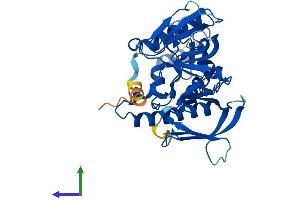 Protein Structure (PS) image for ArfGAP with Dual PH Domains 2 (ADAP2) (AA 1-381) protein (His tag) (ABIN7559711)