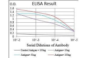Black line: Control Antigen (100 ng), Purple line: Antigen(10 ng), Blue line: Antigen (50 ng), Red line: Antigen (100 ng), (CNN1 抗体  (AA 16-165))