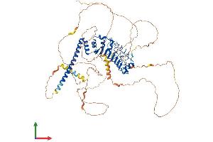 Protein Structure (PS) image for Leucine Rich Repeat Containing 50 (LRRC50) (AA 1-725) protein (His tag) (ABIN7546983)