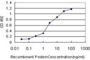 Detection limit for recombinant GST tagged SP1 is approximately 0. (SP1 抗体  (AA 89-198))
