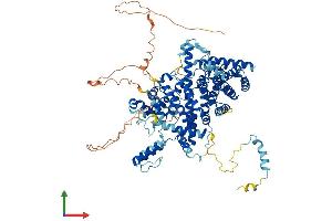 Protein Structure (PS) image for Striatin Interacting Protein 2 (STRIP2) (AA 1-844) protein (His tag) (ABIN7559205)