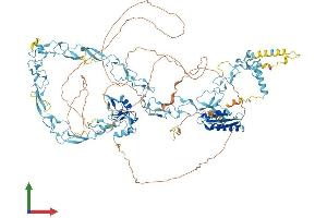 AlphaFold protein structure predicition of Mouse Recombinant Nfx1 Protein, UniprotID B1AY10