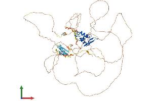 Protein Structure (PS) image for Forkhead Box M1 (FOXM1) (AA 1-760) protein (His tag) (ABIN7562192)