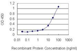 Detection limit for recombinant GST tagged HOXB13 is 1 ng/ml as a capture antibody. (HOXB13 抗体  (AA 61-216))