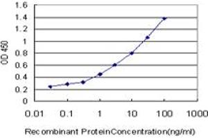 Detection limit for recombinant GST tagged SYT4 is approximately 0. (SYT4 抗体  (AA 1-99))