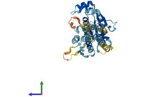 Protein Structure (PS) image for Phosphoseryl-tRNA Kinase (PSTK) (AA 1-359) protein (His tag) (ABIN7558798)