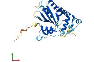 Protein Structure (PS) image for Apolipoprotein B mRNA Editing Enzyme, Catalytic Polypeptide 1 (APOBEC1) (AA 1-229) protein (His tag) (ABIN7563404)