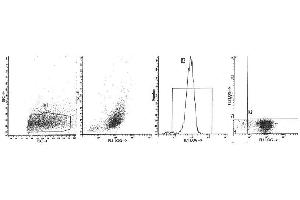 Image no. 1 for anti-Integrin, alpha E (Antigen CD103, Human Mucosal Lymphocyte Antigen 1, alpha Polypeptide) (ITGAE) antibody (FITC) (ABIN1105729) (CD103 抗体  (FITC))