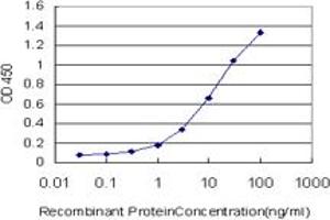Detection limit for recombinant GST tagged EPHA4 is approximately 0. (EPH Receptor A4 抗体  (AA 887-986))
