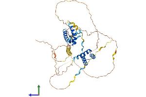 Protein Structure (PS) image for POU Class 3 Homeobox 1 (POU3F1) (AA 1-449) protein (His tag) (ABIN7562963)