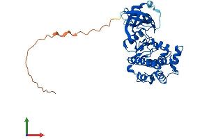 Protein Structure (PS) image for Protein Kinase, X-Linked (PRKX) (AA 1-355) protein (His tag) (ABIN7560237)
