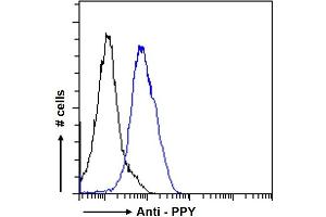 ABIN185420 Flow cytometric analysis of paraformaldehyde fixed U2OS cells (blue line), permeabilized with 0. (PPY 抗体  (Internal Region))