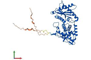 Protein Structure (PS) image for Interleukin Enhancer Binding Factor 2, 45kDa (ILF2) (AA 1-390) protein (His tag) (ABIN7548447)
