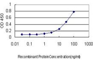 ELISA image for anti-IQ Motif Containing GTPase Activating Protein 1 (IQGAP1) (AA 611-710) antibody (ABIN563819)