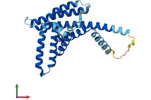 Protein Structure (PS) image for Peroxisomal Biogenesis Factor 11 alpha (PEX11A) (AA 1-246) protein (His tag) (ABIN7556403)