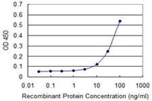 Detection limit for recombinant GST tagged YES1 is approximately 10ng/ml as a capture antibody. (YES1 抗体  (AA 1-543))