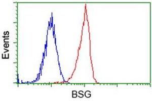 Image no. 3 for anti-Basigin (Ok Blood Group) (BSG) antibody (ABIN1498013) (CD147 抗体)