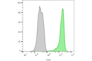 Flow cytometry analysis of lymphocyte-gated PBMCs unstained (gray) or stained with CF488A-labeled CD45 monoclonal antibody (2B11+PD7/26) (green). (CD45 抗体)