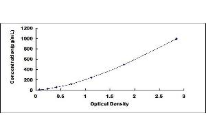 Typical standard curve (CCL15 ELISA 试剂盒)