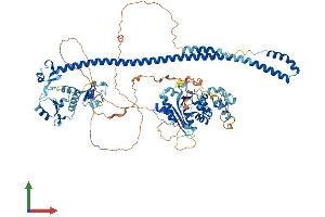 Protein Structure (PS) image for Promyelocytic Leukemia (PML) (AA 1-882) protein (His tag) (ABIN7555010)