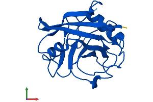 Protein Structure (PS) image for Peptidylprolyl Isomerase A (Cyclophilin A) (PPIA) (AA 1-165) protein (His tag) (ABIN7550883)
