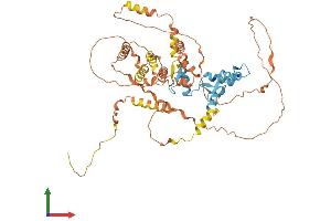 Protein Structure (PS) image for Zinc Finger and BTB Domain Containing 7B (ZBTB7B) (AA 1-539) protein (His tag) (ABIN7556145)