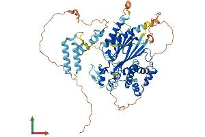 AlphaFold protein structure predicition of Mouse Recombinant Pp2d1 Protein, UniprotID Q8BVT6