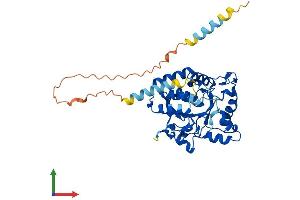 Protein Structure (PS) image for ST8 alpha-N-Acetyl-Neuraminide alpha-2,8-Sialyltransferase 6 (ST8SIA6) (AA 1-398) protein (His tag) (ABIN7559583)
