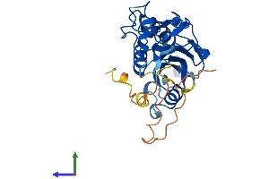 Protein Structure (PS) image for SLX1 Structure-Specific Endonuclease Subunit Homolog B (SLX1B) (AA 1-270) protein (His tag) (ABIN7558985)
