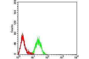 Flow Cytometry (FACS) image for anti-CD1b (CD1B) (AA 18-303) antibody (ABIN5611269)