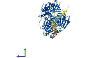AlphaFold protein structure predicition of Human Recombinant DHX40 Protein, UniprotID Q8IX18
