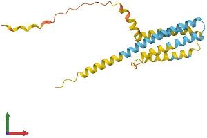 Protein Structure (PS) image for CKLF-Like MARVEL Transmembrane Domain Containing 3 (CMTM3) (AA 1-184) protein (His tag) (ABIN7560374)