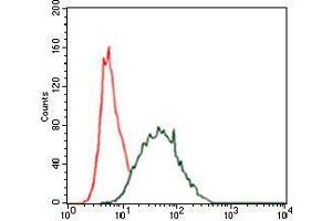 Flow cytometric analysis of HeLa cells using CK5 mouse mAb (green) and negative control (red). (Cytokeratin 5 抗体)