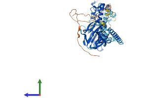 AlphaFold protein structure predicition of Mouse Recombinant Asic1 Protein, UniprotID Q6NXK8