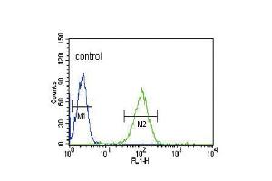 Flow cytometric analysis of HL-60 cells (right histogram) compared to a negative control cell (left histogram). (ENOS 抗体  (N-Term))