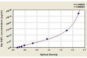 Typical standard curve (NEFL ELISA 试剂盒)